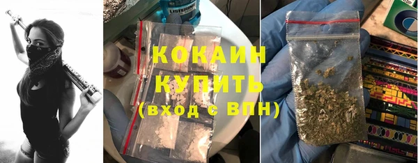 СК Арсеньев