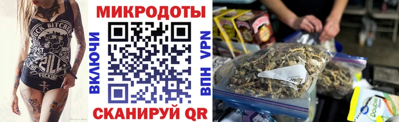 Галлюциногенные грибы Magic Shrooms  Сясьстрой 
